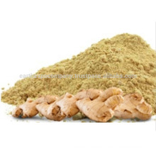 Spray Dried ginger Root powder